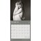 Taylor Swift OFFICIAL | 2026 12 x 24 Inch (Hanging) Monthly Square Wall Calendar